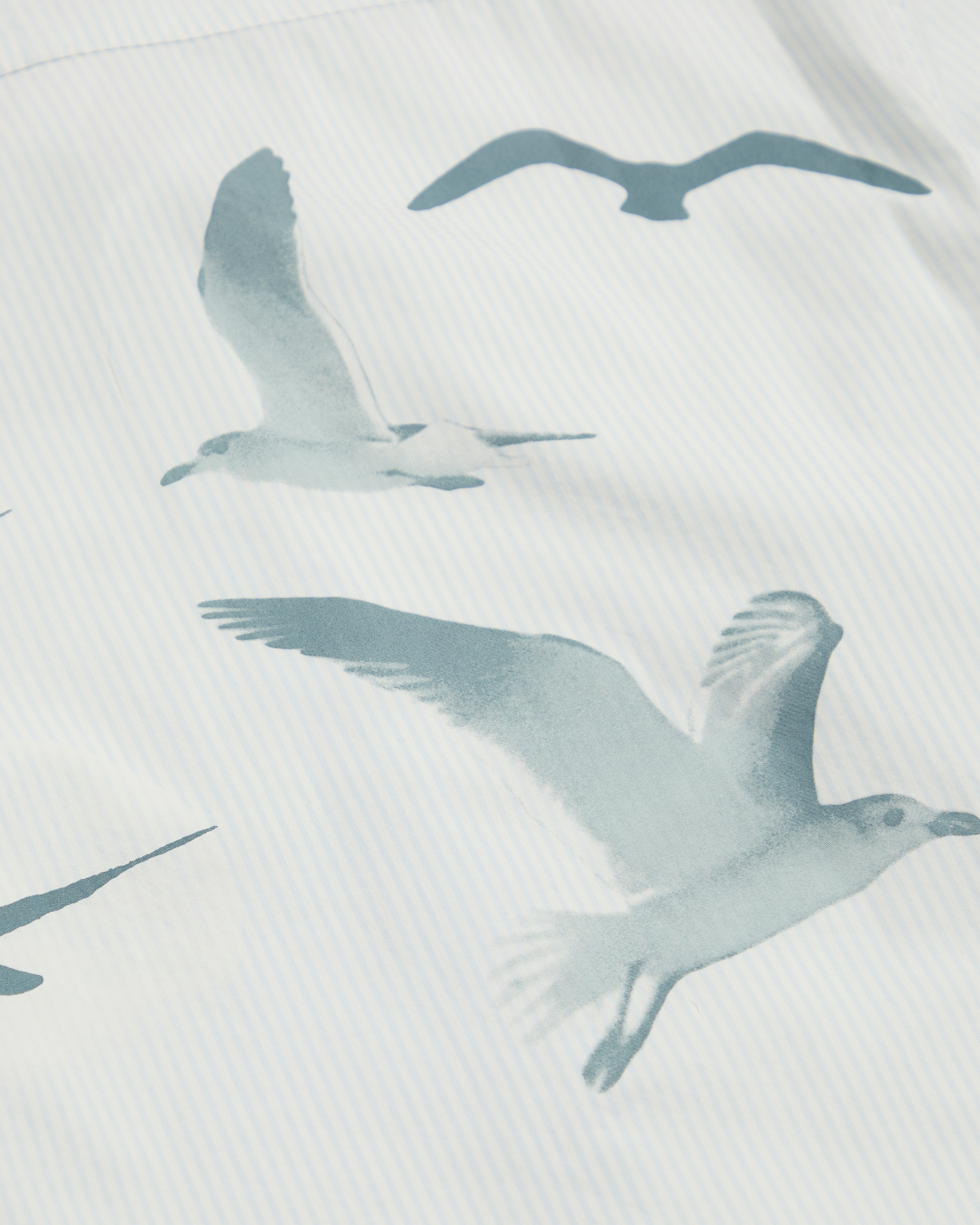 1989 (TAYLOR’S VERSION) SEAGULL BLUE STRIPE POPLIN SHIRT