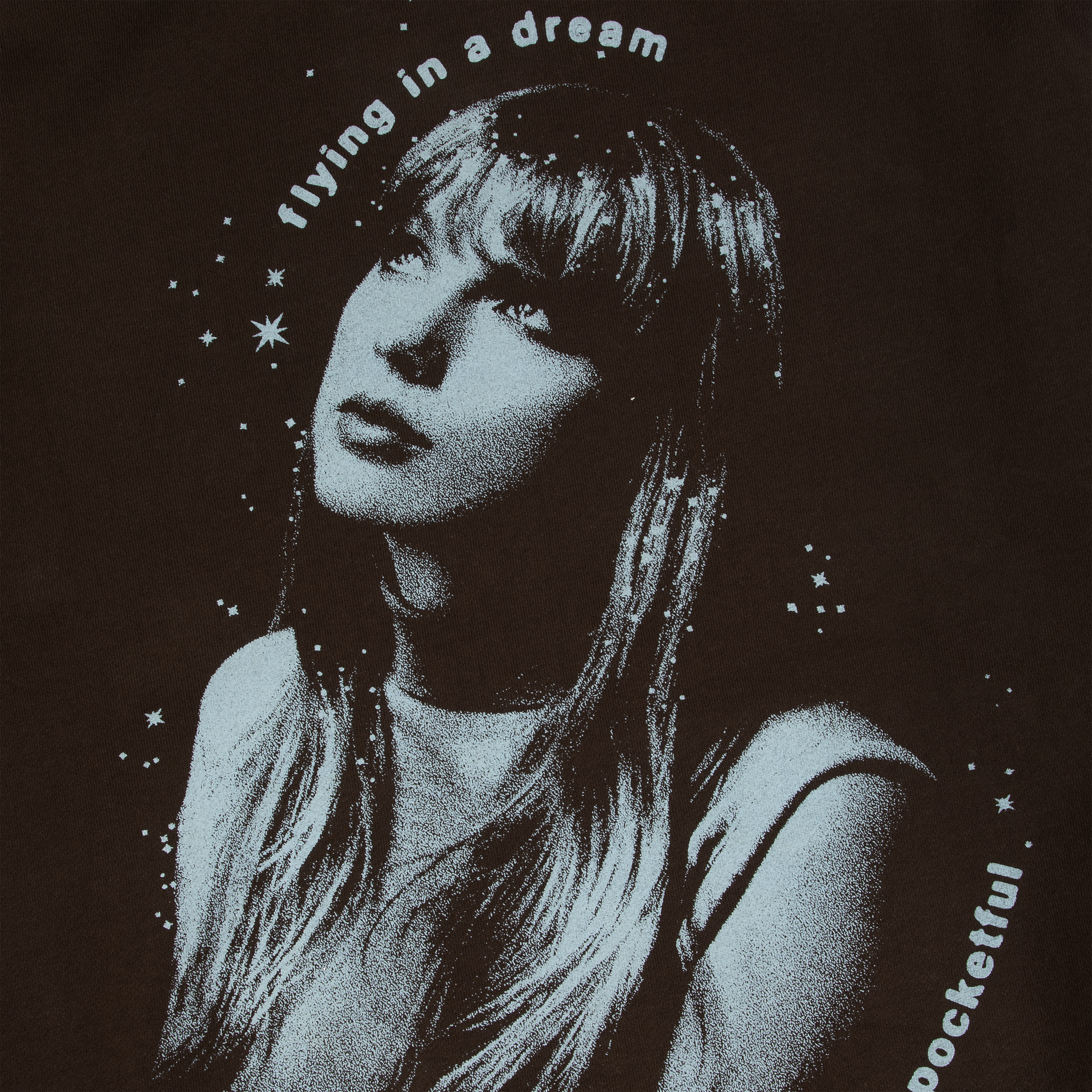 Taylor Swift Midnights Living In A Dream Hoodie Marron
