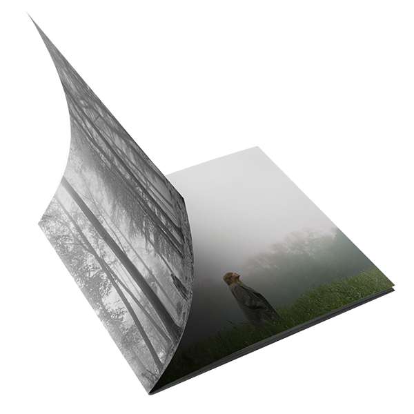 1. the “in the trees" edition deluxe cd + digital standard album